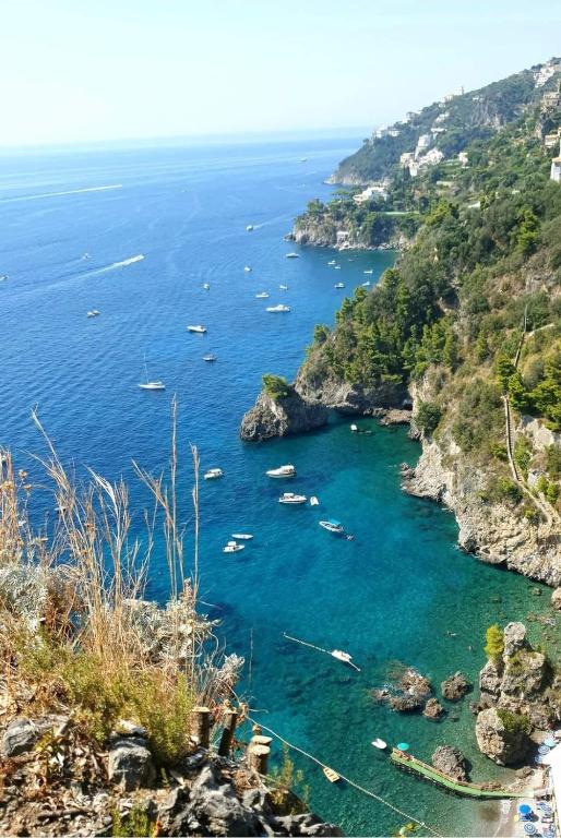 Villa Viviani photo