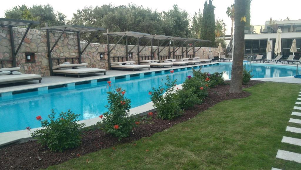 Queen Residences & Apart Hotel photo