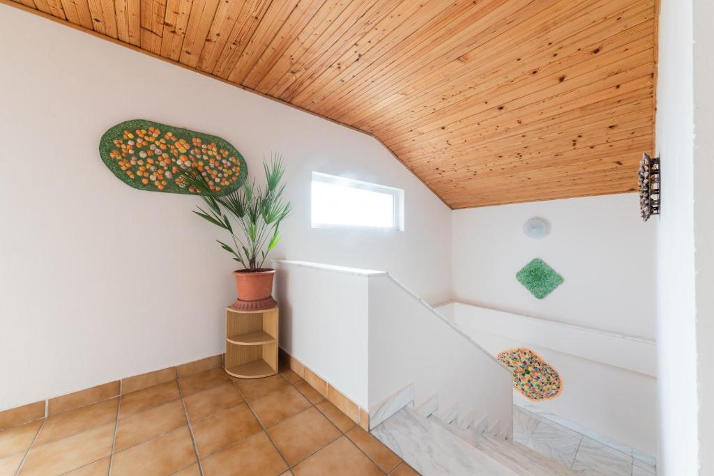 Vila Adriana photo