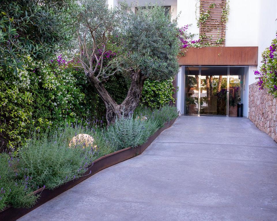 Apartaments B-Llobet Sun & Confort - 3