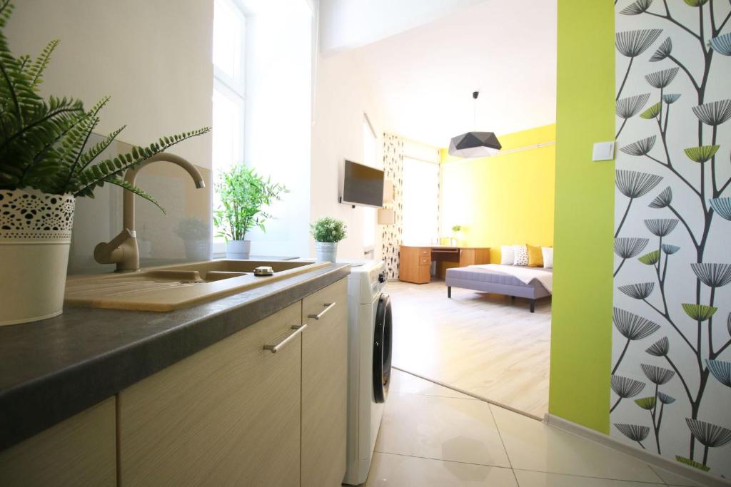 Studio in City Center photo