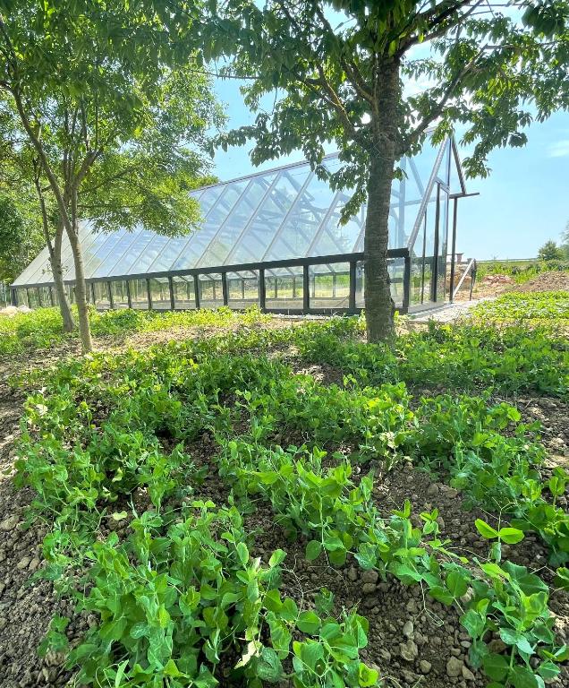 Surrounding environment