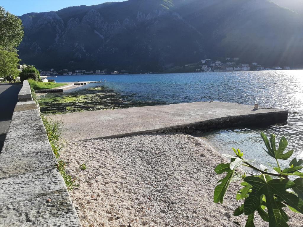 Apartments "Tiha noc" Kotor photo