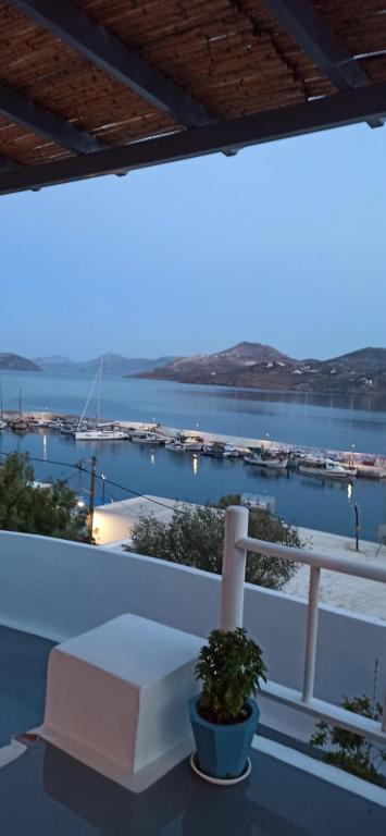 Bella Vista photo