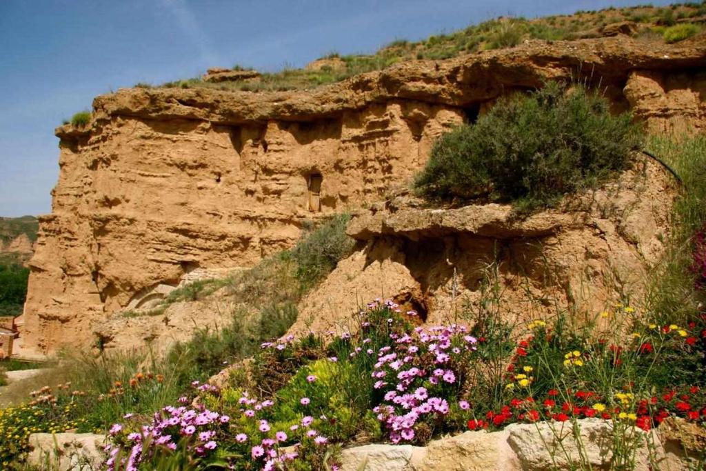 Habitat Troglodita Almagruz photo