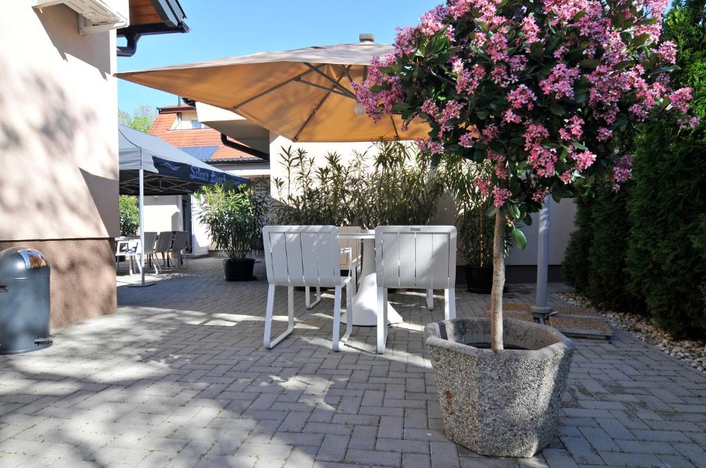 Silver Beach Apartments photo