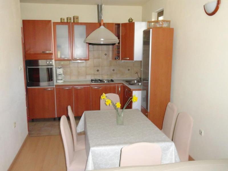 Apartment in Palit with Terrace, Air conditioning, Wi-Fi (4603-1), Mundanije