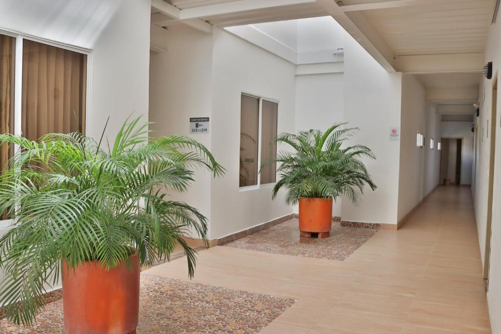 Hotel Santa Clara Doradal photo