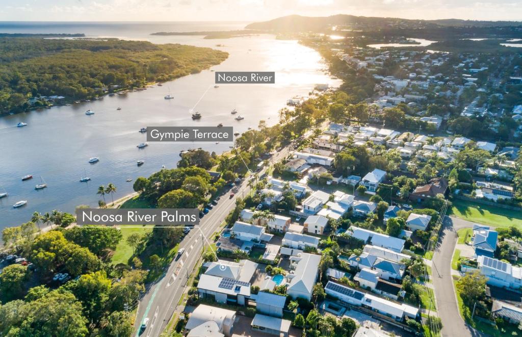 Noosa River Palms photo