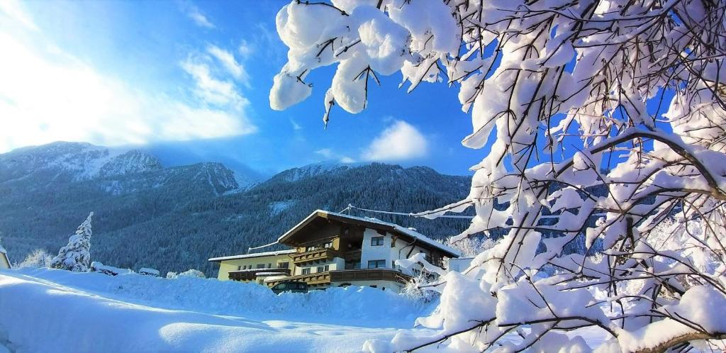 Ferienhaus Alpina Ötztal - 1