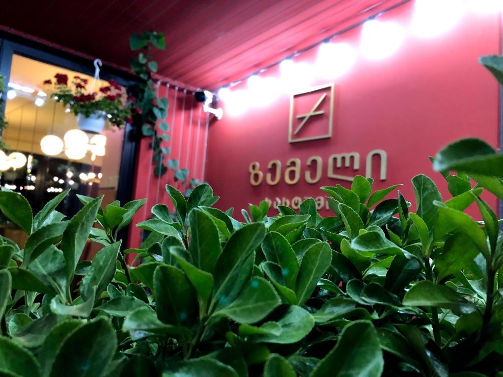 Zemeli Boutique Hotel by DNT Group photo