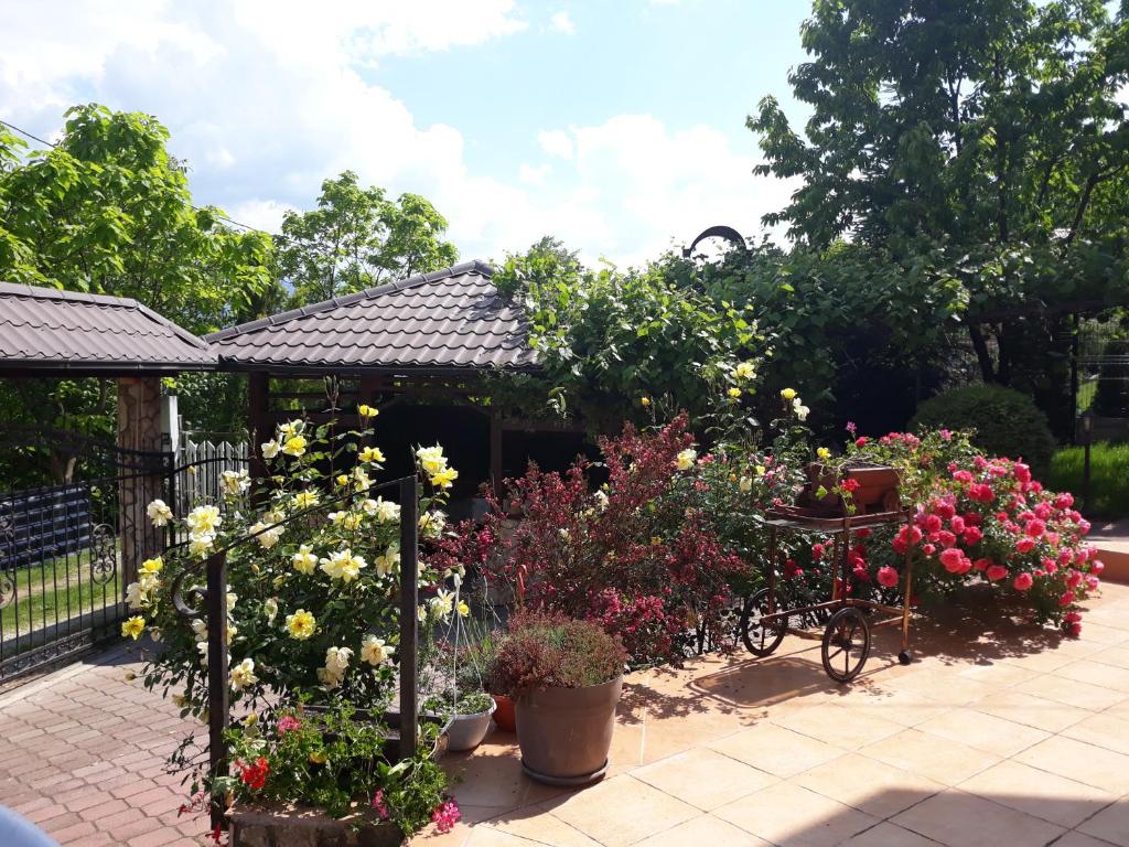 Vila Sani photo