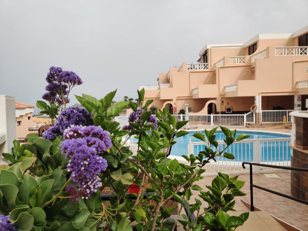 Golden Paradise Seaview - 3