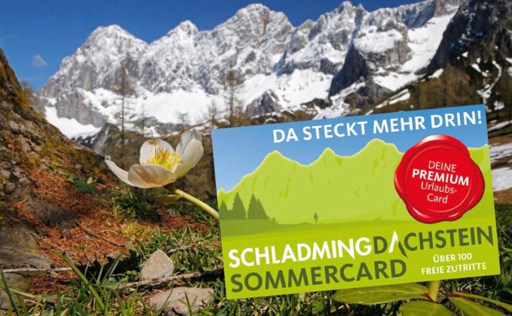 Apartment SCHLADMING - Neualm center - 5