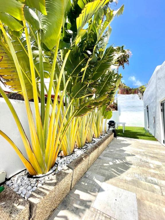 Villa 12 Luxury - Private Pool - Costa Adeje - 3