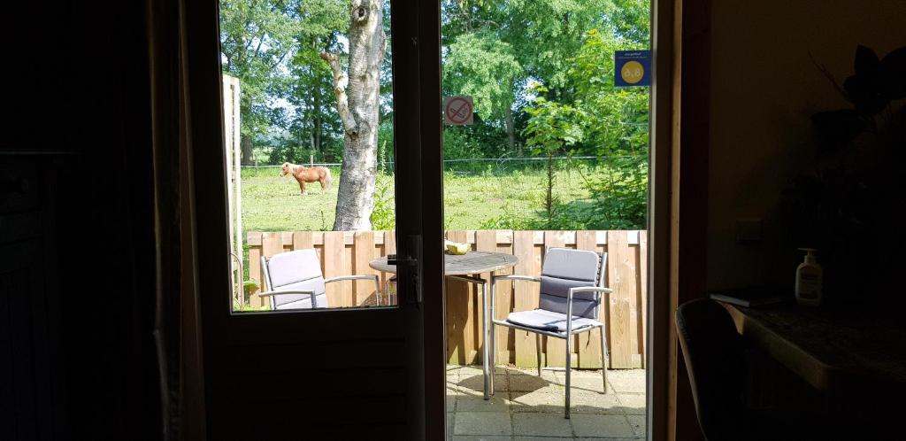Rust en Stilte in de Natuur photo