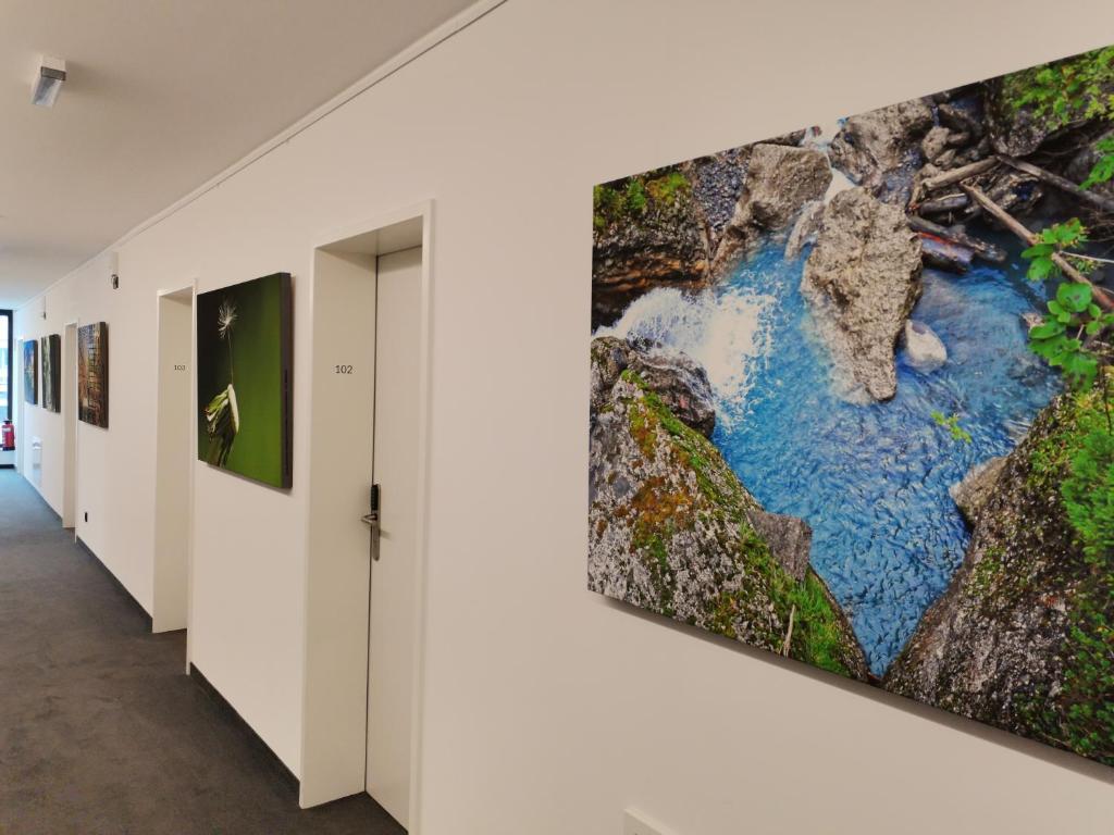 Saminapark Aparthotel photo