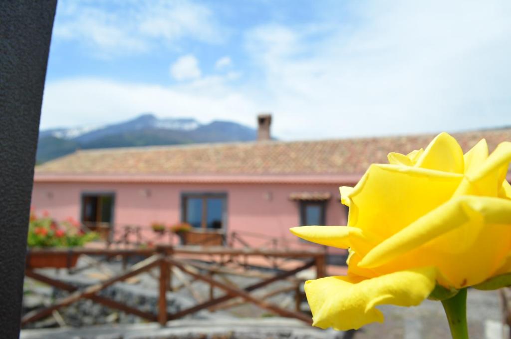 Feudo Magazzeni Etna