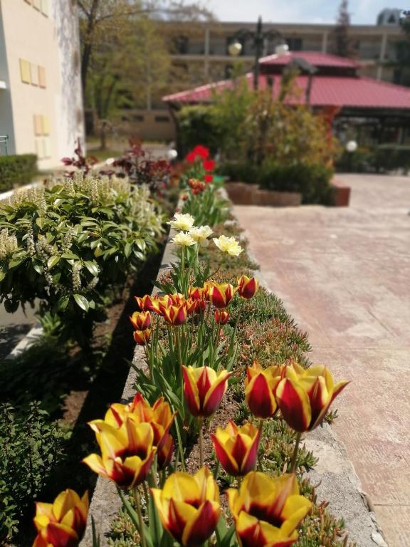 Hotel Trakia Garden — Hotel building in Sunny Beach, Burgas Region