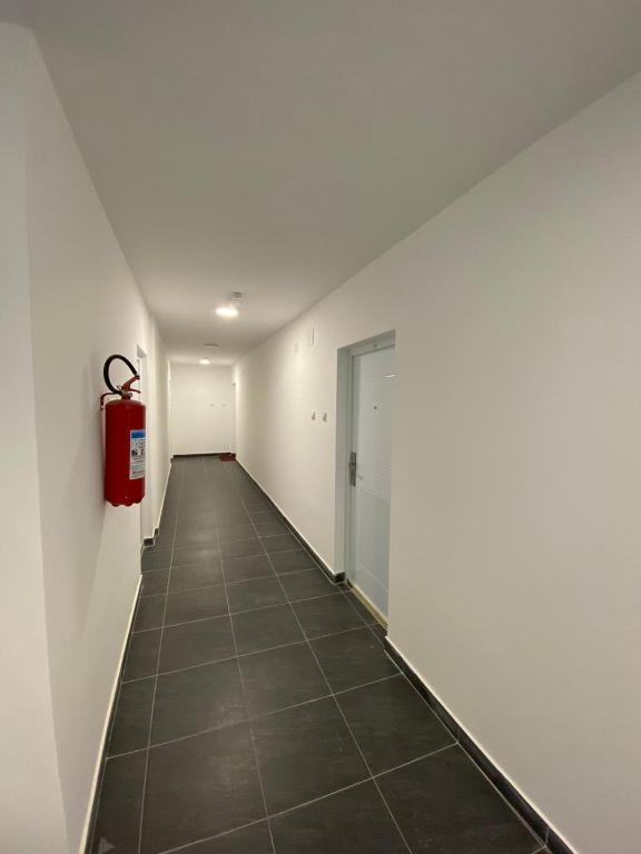 Apartmani JOVANOVIC Sokobanja - 5