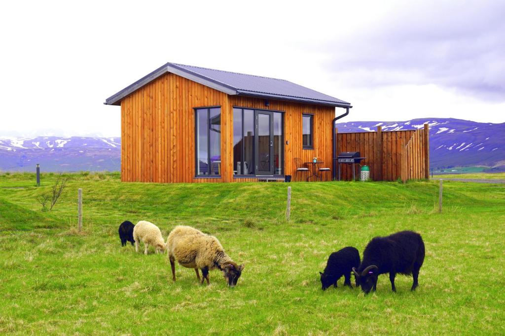 Exterior view, Austurey Cottages in Laugarvatn