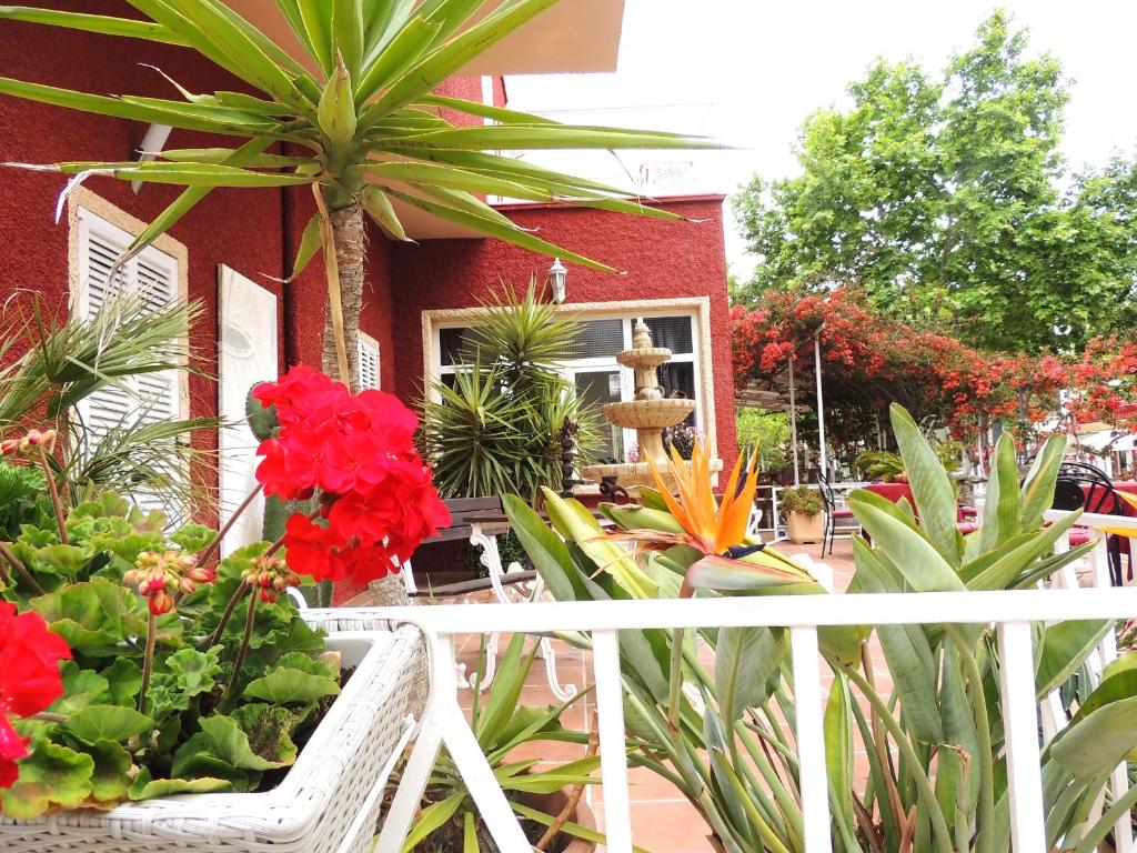 Villa Palmer I Beachhouse photo