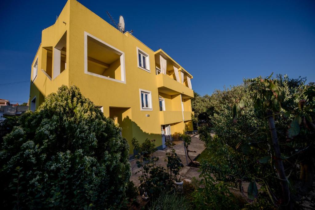 Ảnh 5