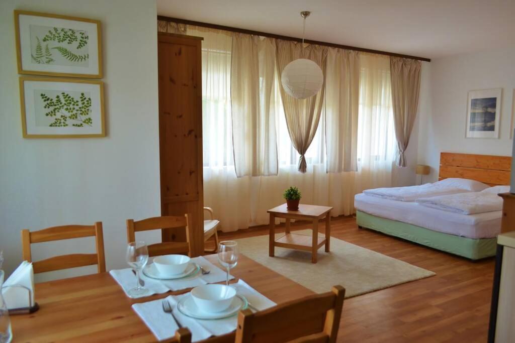 Cozy studio in Hill Top, Bansko