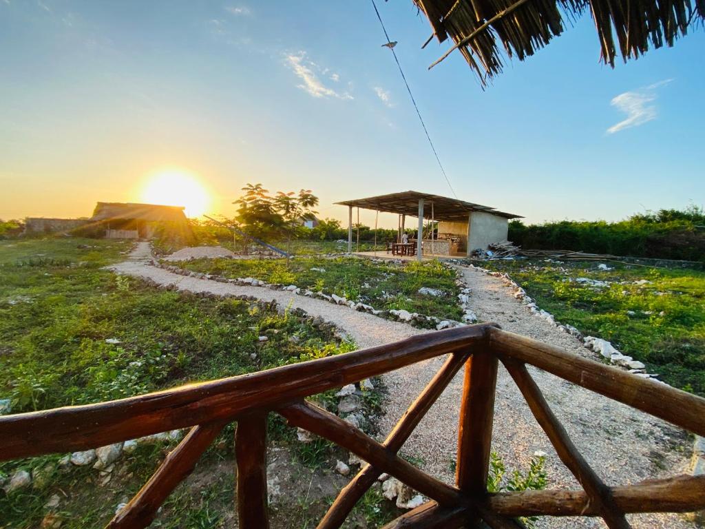 Habibis Bottle House photo