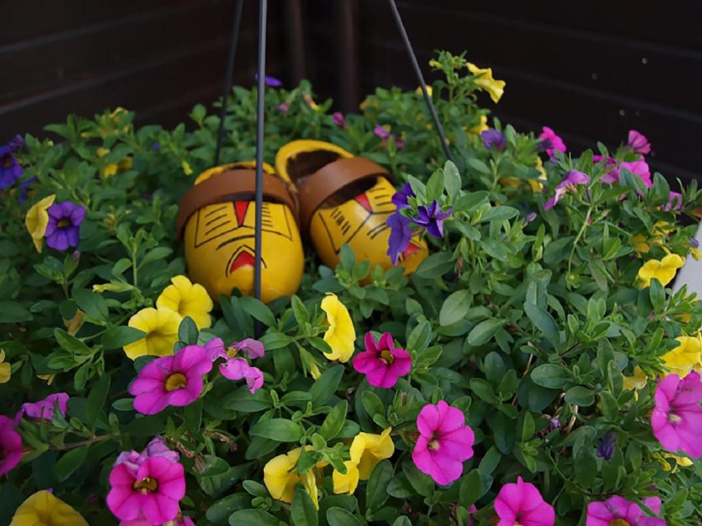 B&B Hulleste, Westerland