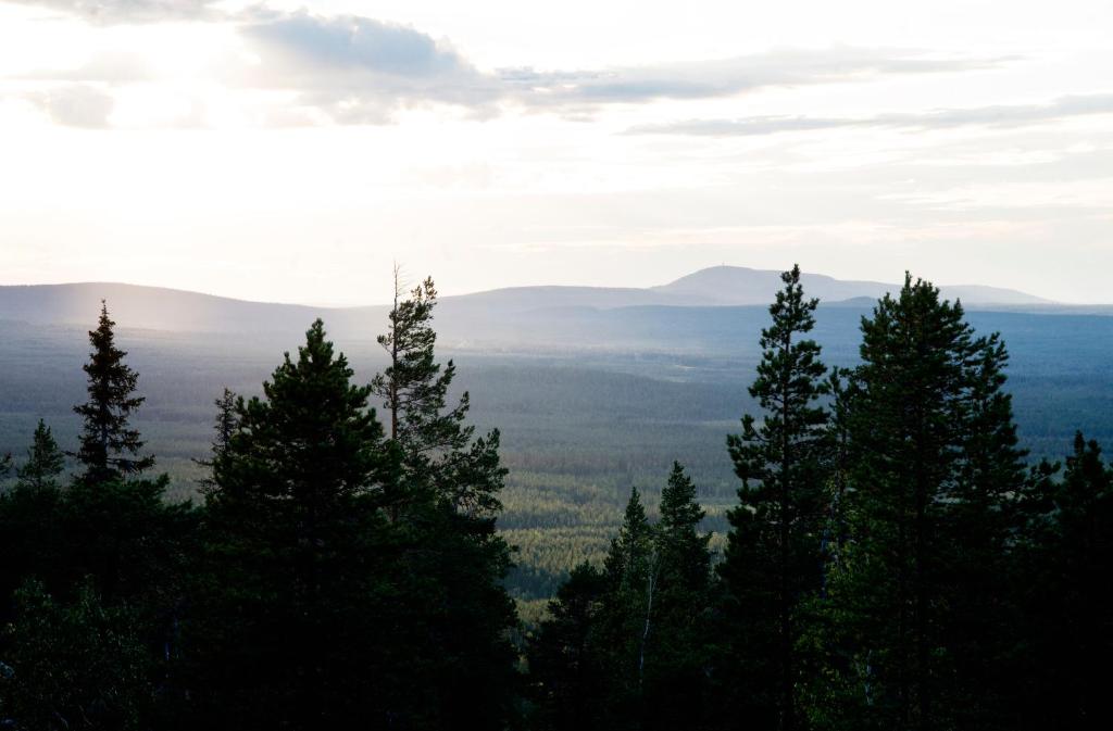 Surrounding environment