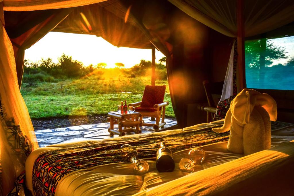 Zebra kemangore Bush Tented Lodge photo