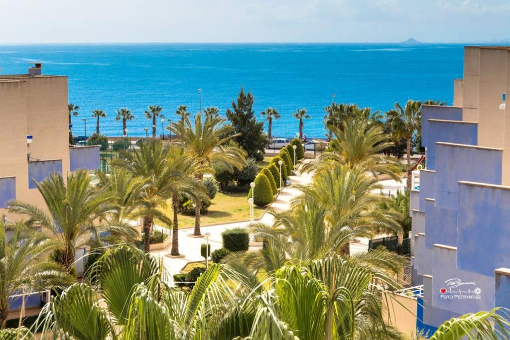 Campoamor - 3