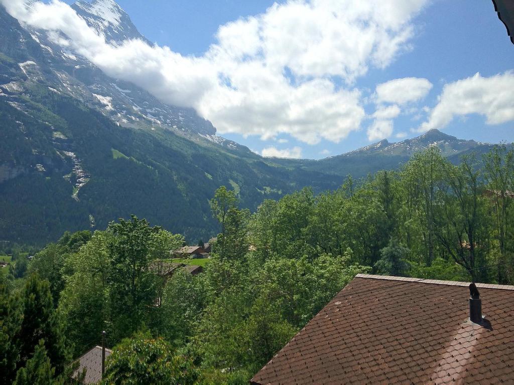 Apartment Chalet Doris-1 by Interhome - 3