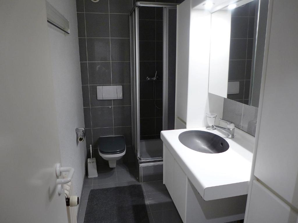 Apartment Barzettes-Vacances 454 - Entrée N- 14 by Interhome - 4