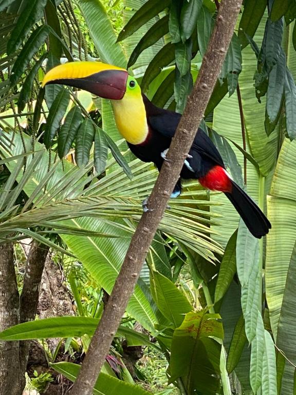 Nearby attraction
