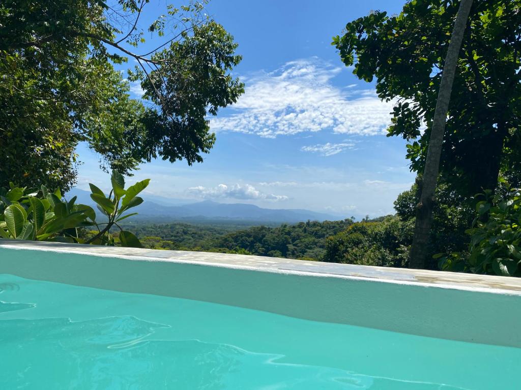 View