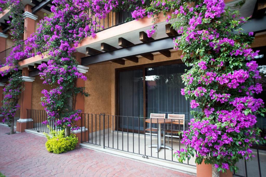 Hosteria Las Quintas Hotel & Spa Photo 27