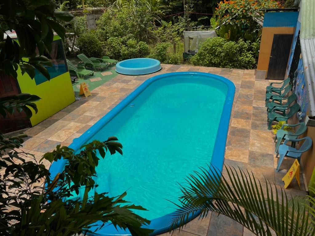Los Amigos Jungle Hotel Tortuguero photo