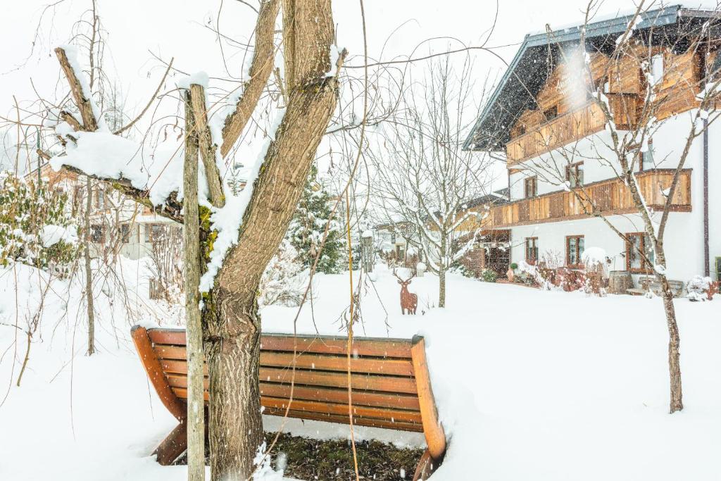 Haus Alexandra - 3