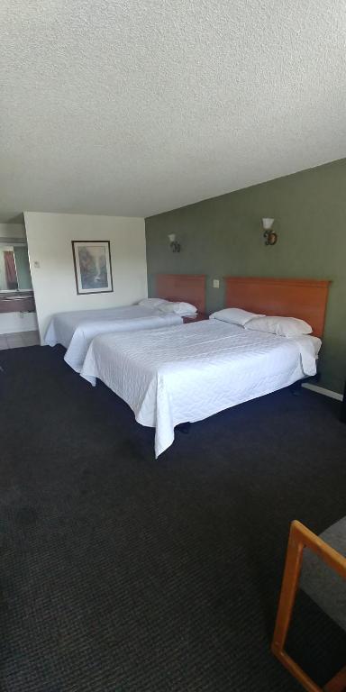 Thunderbird Motel photo