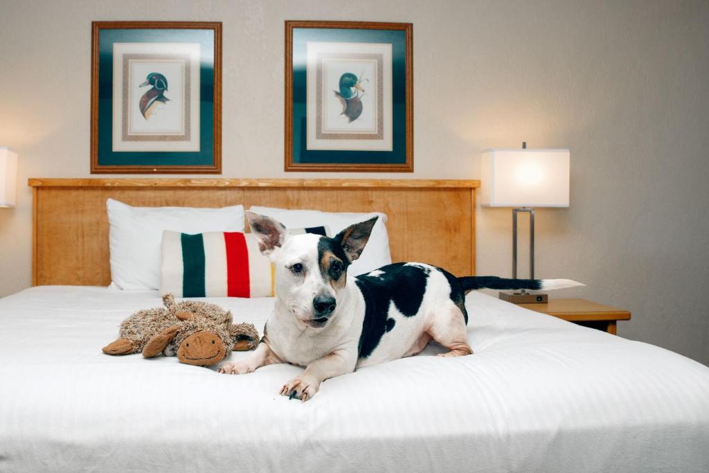 Timbers Motel photo