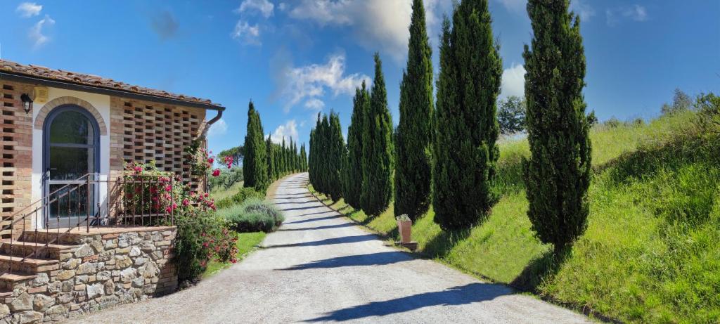Agriturismo e Maneggio Poggio Leone - 5