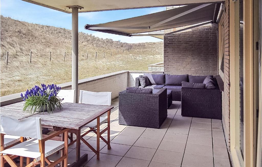 Stern, Bergen aan Zee