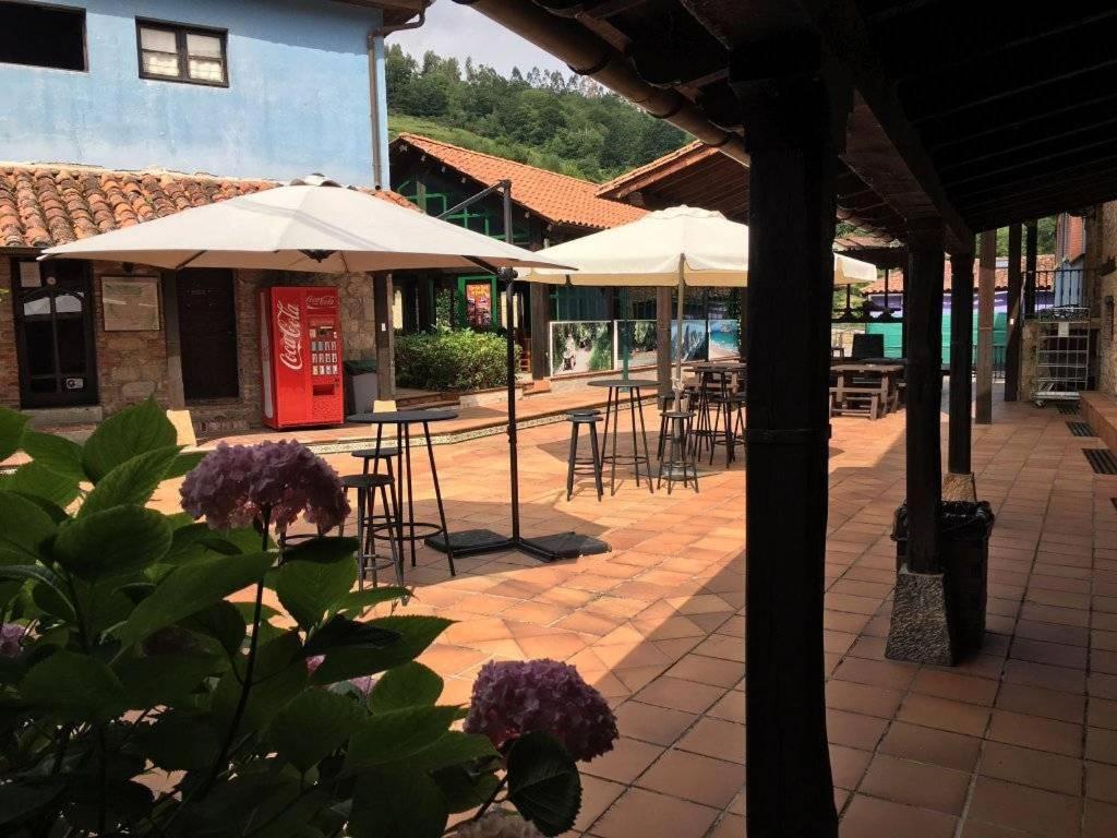 Albergue La Posada Cangas de Onis - 1