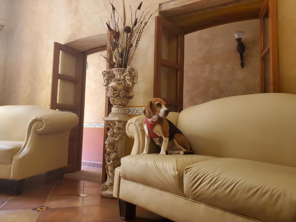 Hotel Villarreal photo