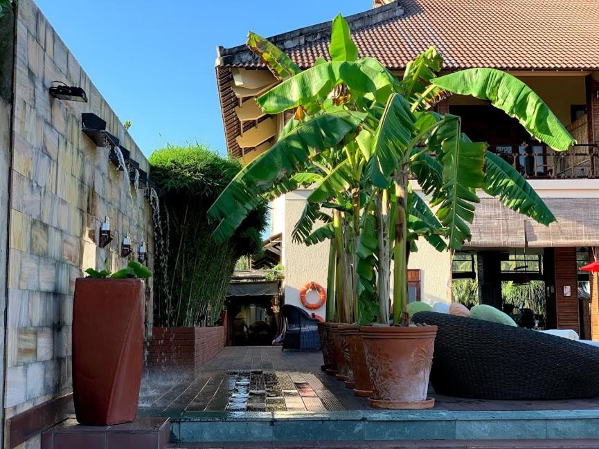 スイミングプール