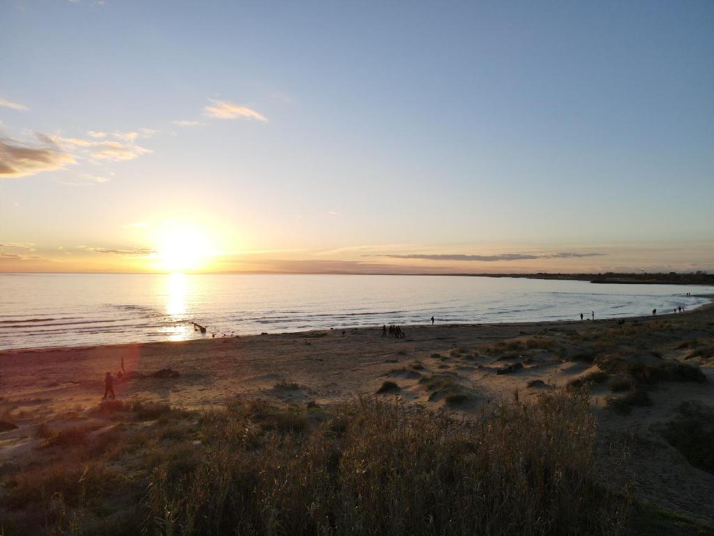Camping la Tamarissiere photo