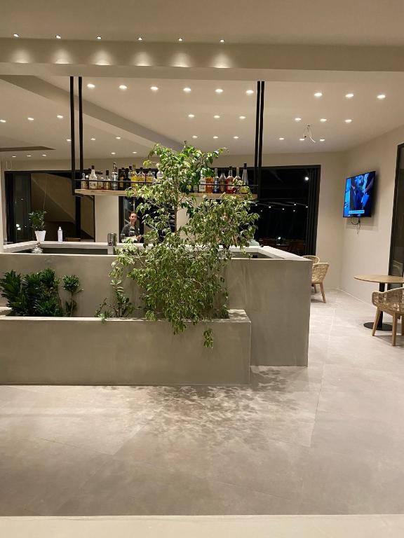 Panas Hotel — Restaurant & bars in Pesádha, Ionian Islands