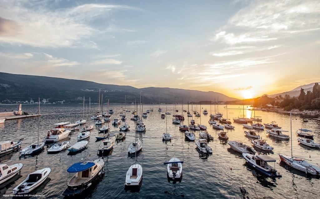 Apartman Glicinija — Hotel in Herceg Novi